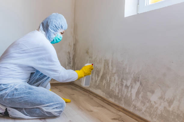 Hvac And Air Duct Mold Remediation inspection of HVAC system in Wenonah